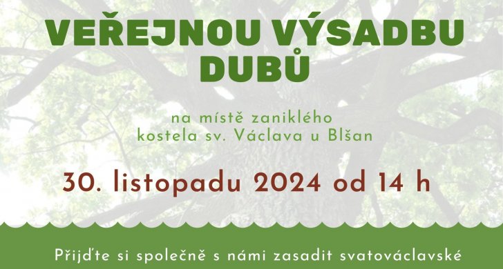 veřejná výsadba.jpg